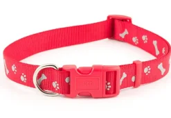 Ancol Paw & Bone Collar