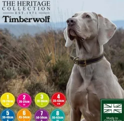Ancol Timberwolf Leather Collar