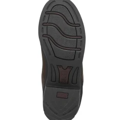 Ariat Women's Grasmere H2O Waterproof Insulated Boot