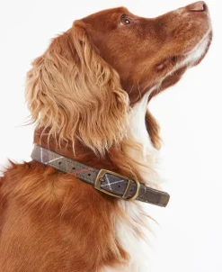Barbour Classic Tartan Leather Dog Collar