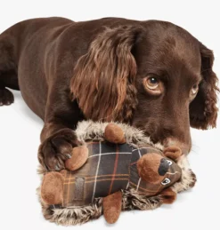 Barbour Hedgehog Dog Toy