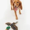 Barbour Pheasant Dog Toy