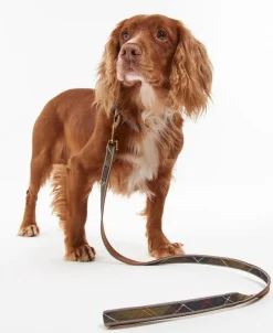 Barbour Reflective Dog Lead