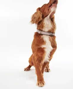 Barbour Reflective Tartan Dog Collar