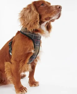 Barbour Tartan Dog Harness