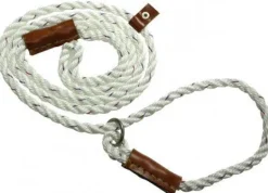 Bisley Field Trial Lead