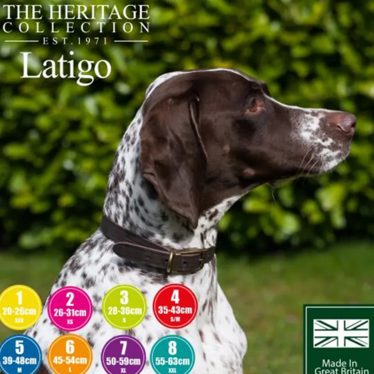 Bisley Heritage Leather Collar