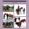 Book Threshold Guide No.41. Starting Endurance Riding