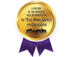 Breyer Carltonlima Emma - The Queen's Pony