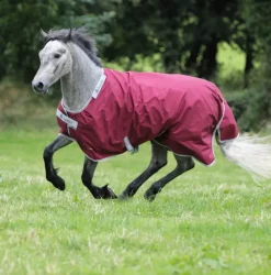 Bucas Atlantic Exclusive 0g Light Turnout Rug