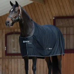 Bucas Classic Cut Shamrock Power Rug