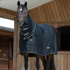 Bucas Full Neck Shamrock Power Rug