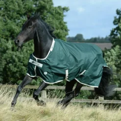 Bucas Greenline 100g Turnout Rug