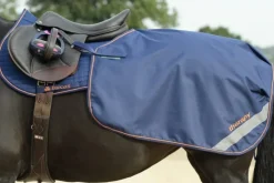 Bucas Therapy Quarter Sheet