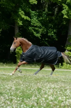 Bucas Trot 200g Turnout Rug