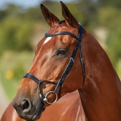 Collegiate Comfitec Training Bridle