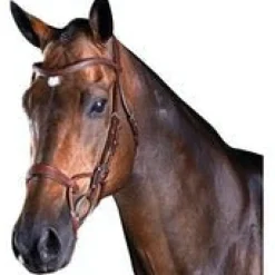 Collegiate Comfitec Training Bridle