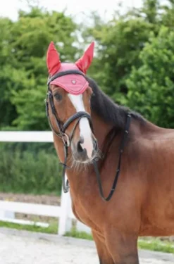 Covalliero Fly Hood SS22