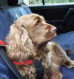 Danish Design Waterproof Car Seat Cover