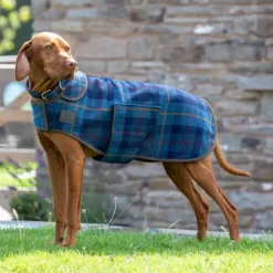 Digby & Fox Tweed Dog Coat