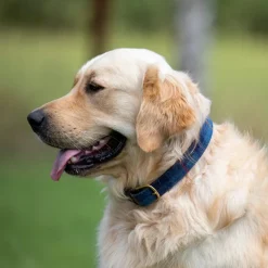 Digby & Fox Tweed Dog Collar