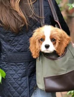 Django Dog Carrier Bag