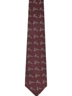 Dubarry Lacken Silk Tie