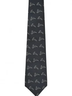 Dubarry Lacken Silk Tie