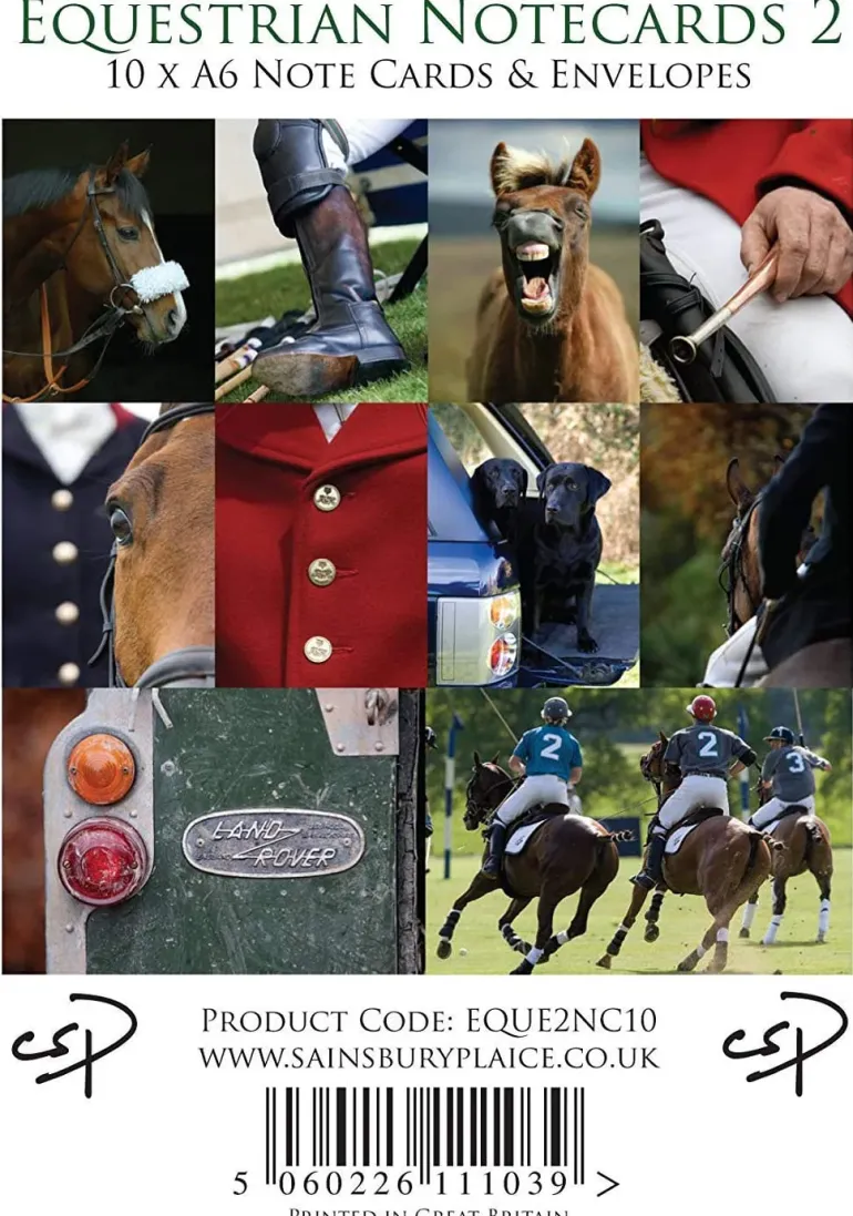 Equestrian Notecards 2 (Colour) by Charles Sainsbury-Plaice