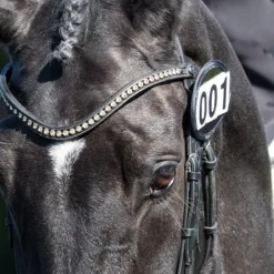 Equetech Bridle Numbers