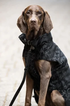 Eskadron Essence Velvet Stamp Dog Coat