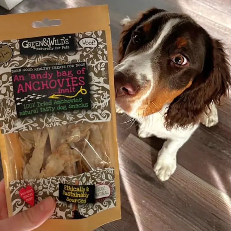 Green & Wild's An 'Andy Bag Of Anchovies