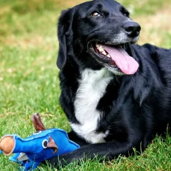 Green & Wild's Dino the Dyno Fish