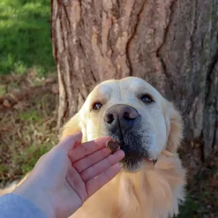 Green & Wilds Luv Hearts Treats