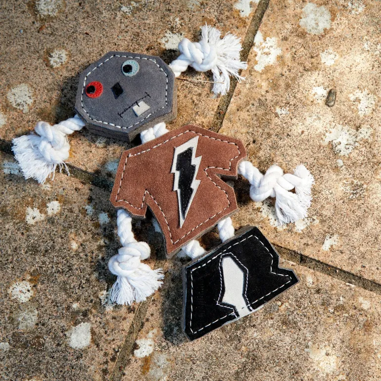 Green & Wild's ROB Eco Dog Toy