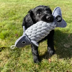 Green & Wild's Roger the Ropefish Eco Dog Toy