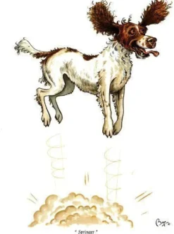 Greeting Card - Springer by Bryn Parry
