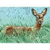 Greeting Card - Tina's Doe by Colin Blanchard