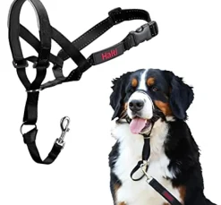 Halti Dog Headcollar