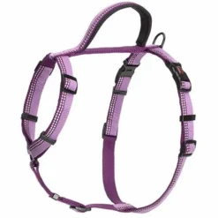 Halti Walking Harness Purple