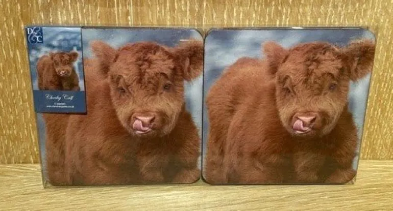 Highland Calf Coaster Pack Of 6