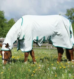 Horseware Amigo Aussie Allrounder White/Green