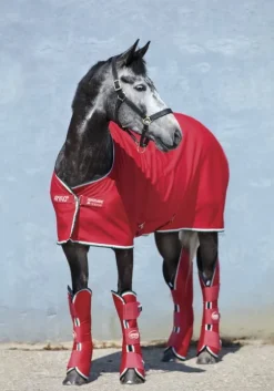 Horseware Amigo Jersey Cooler