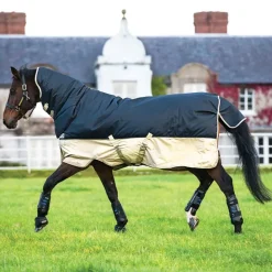 Horseware Mio All-In-One 350g Turnout Rug