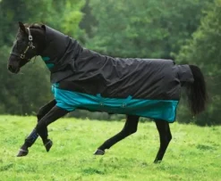 Horseware Mio All-In-One 200g Turnout Rug