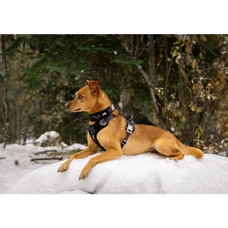Hurtta Weekend Warrior Harness