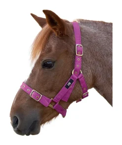 Hy Holly Fully Adjustable Head Collar
