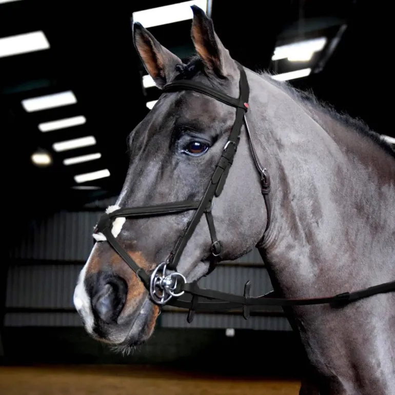 John Whitaker Ready to Ride Mexican Bridle