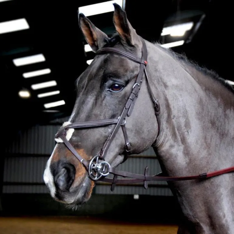 John Whitaker Ready to Ride Mexican Bridle