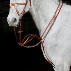 John Whitaker Valencia Luxury Martingale